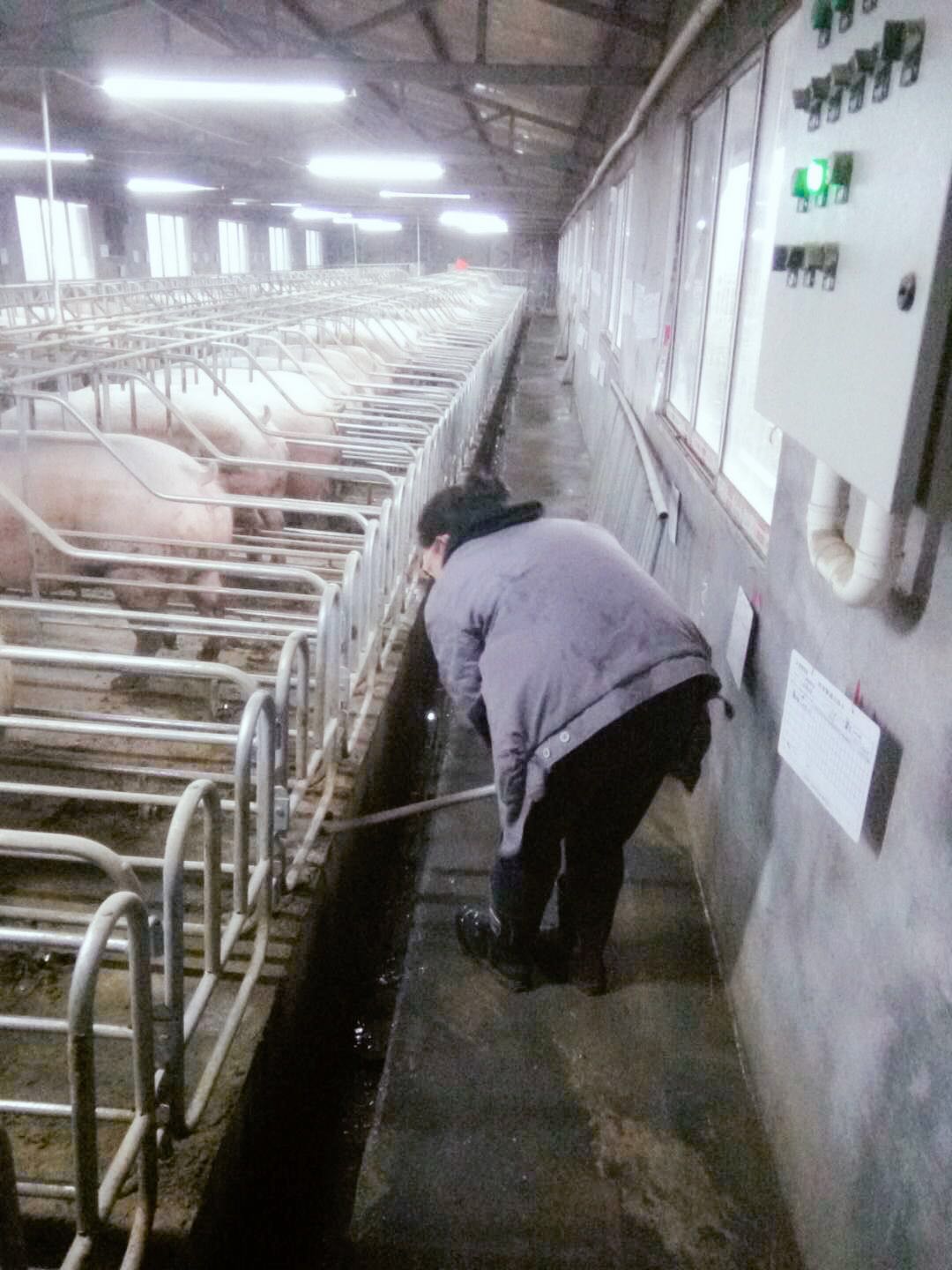 WeChat Image_20180404132812